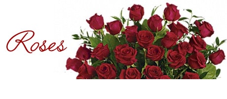 Beautiful Seasonal Flowers Banner